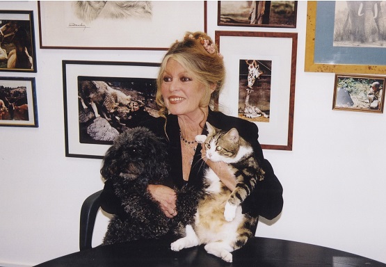 Brigitte Bardot miluje zvirata a cely zivot bojuje za jejich ochranu a bezpeci foto Fondation Brigitte Bardot